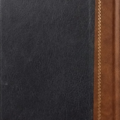 Auto dos Danados - António Lobo Antunes