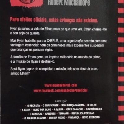 Contracapa do livro 