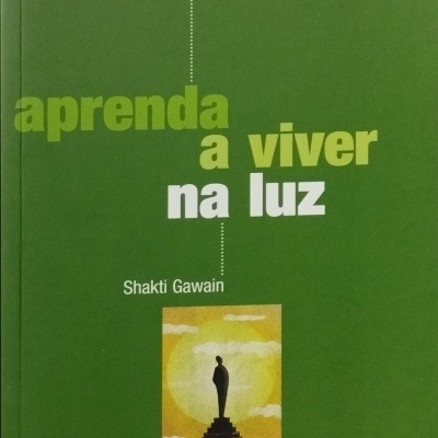 Livro verde com título em amarelo e branco e ilustração de pessoa em escadaria