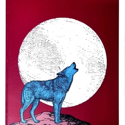 Apelo da Selva - Jack London