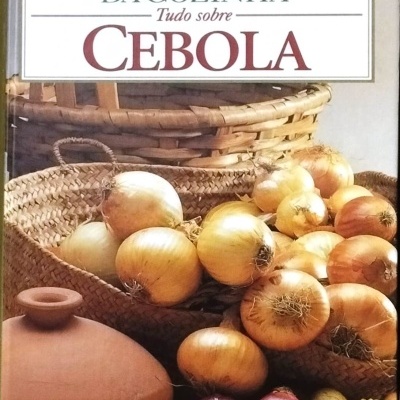 Capa de livro sobre cebolas com imagem de cebolas em cestos e um pote de barro