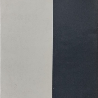 Cálculo Diferencial e Integral  Volume II - N. Piskounov