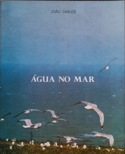 Capa de livro com gaivotas a voar sobre o mar e vegetação à beira-mar.