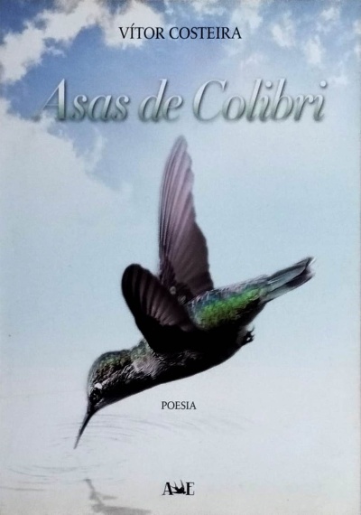 Capa de livro Asas de Colibri com imagem de beija-flor em voo