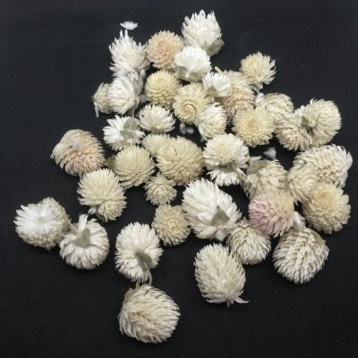 Plantas Aromáticas e Medicinais - Infusões, Tisanas e Blends (venda a granel)