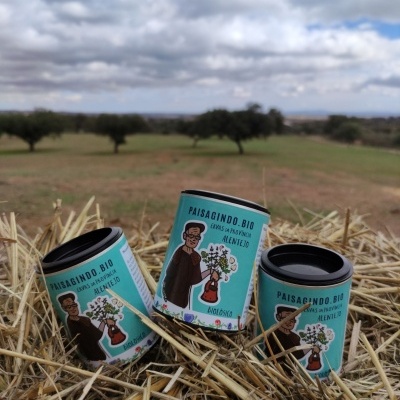 Ervas da Província Alentejo