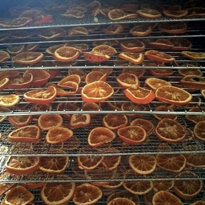 Laranja desidratada de produção biológica (venda a granel)