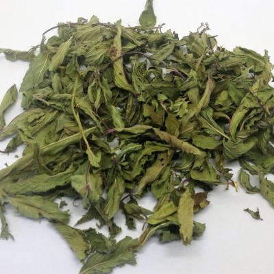 Plantas Aromáticas e Medicinais - Infusões, Tisanas e Blends (venda a granel)