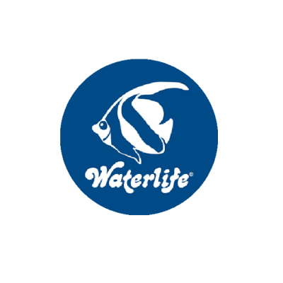 TRATAMENTOS E TESTES