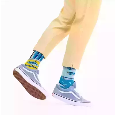 MEIAS MANY MORNINGS - The Sardines