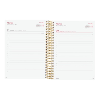 Agenda Finocam 2026 Diária Beta Goldy