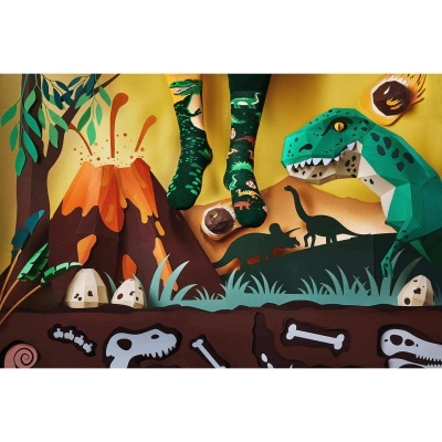 MEIAS MANY MORNINGS - The Dinosaurs