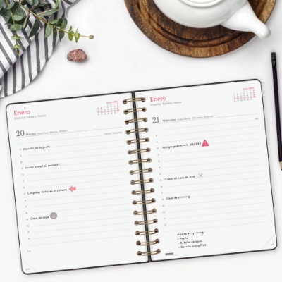 Agenda Finocam 2026 Diária Alma Black