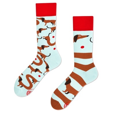 Cópia de MEIAS MANY MORNINGS - Sausage Dog