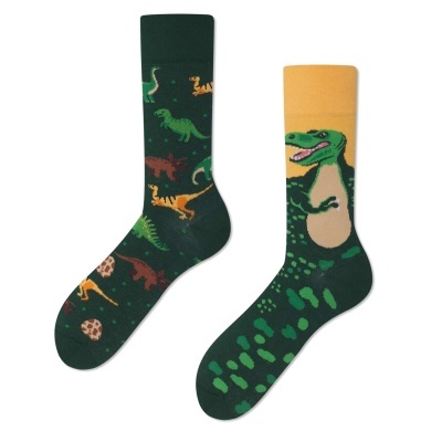 MEIAS MANY MORNINGS - The Dinosaurs