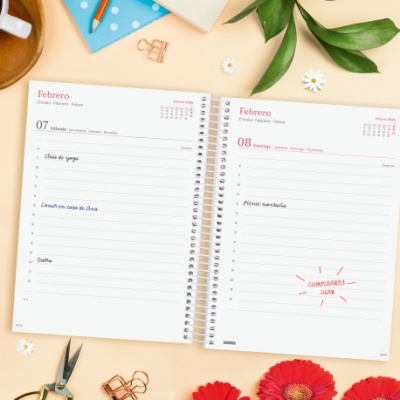 Agenda Finocam 2026 Diária Beta Agora