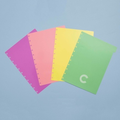 Divisórias Pastel Grande - Caderno Inteligente