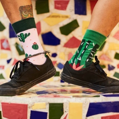 MEIAS MANY MORNINGS - Summer Cactus