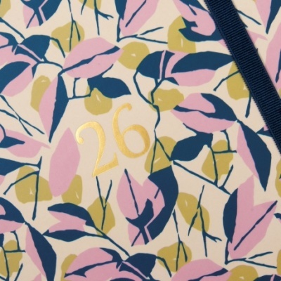 Agenda Finocam 2026 Semanal You Leaves