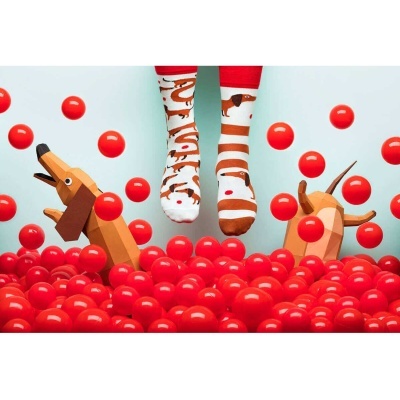 MEIAS MANY MORNINGS - Sausage Dog