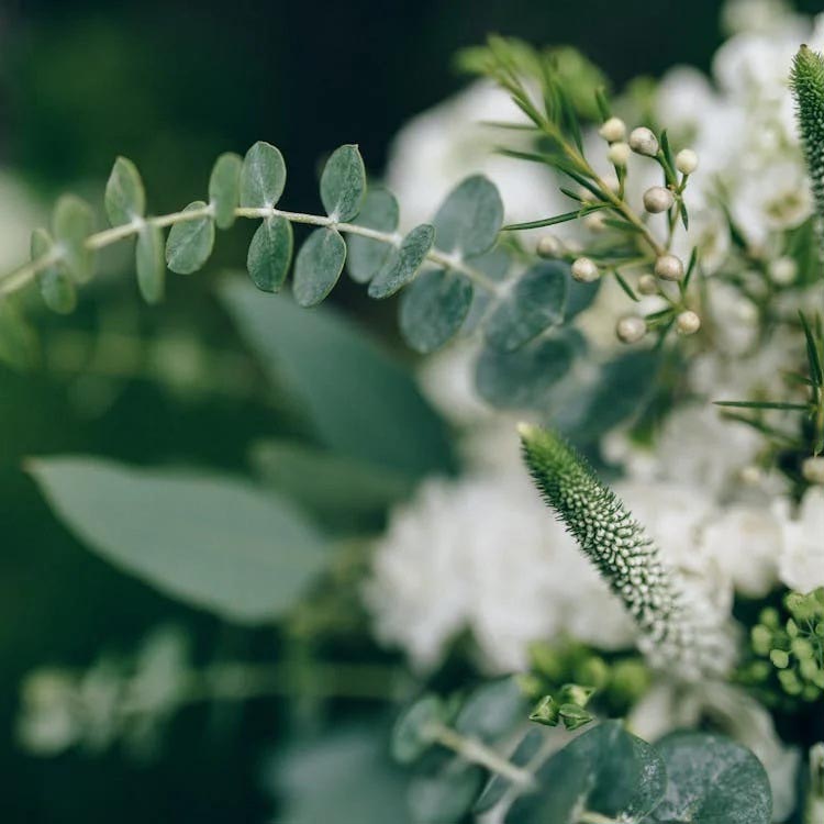 10 Dicas para ter um Casamento mais Sustentável