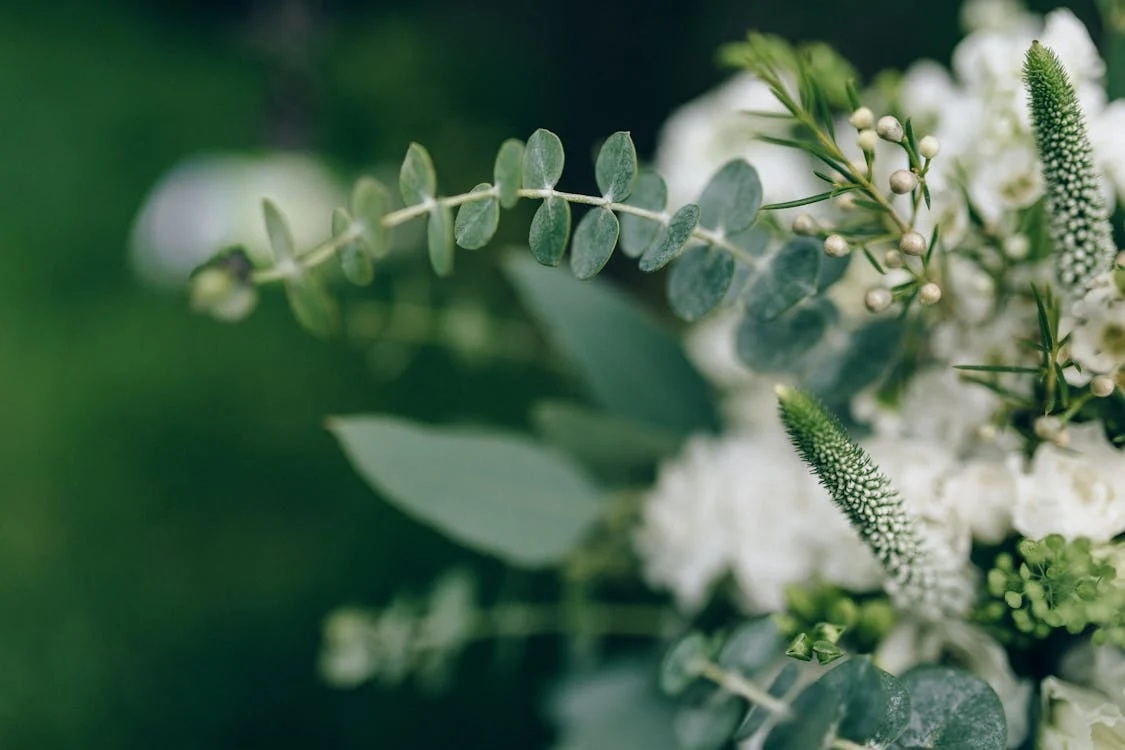 10 Dicas para ter um Casamento mais Sustentável 10 Dicas para ter um Casamento mais Sustentável