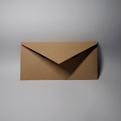 Pacote 25 Envelopes Safari DL