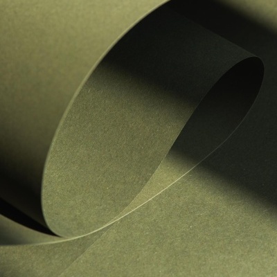 Pacote 50 Folhas Cartolina Shiro Echo 250gr