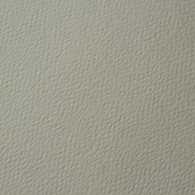 Pacote 50 Folhas Cartolina Havana 270gr