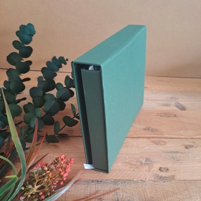 Livro de honra oliveira