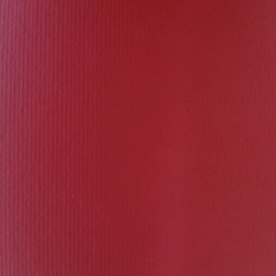 Pacote 50 Folhas Cartolina LR 220gr