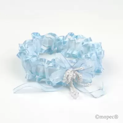 Liga de Organza azul