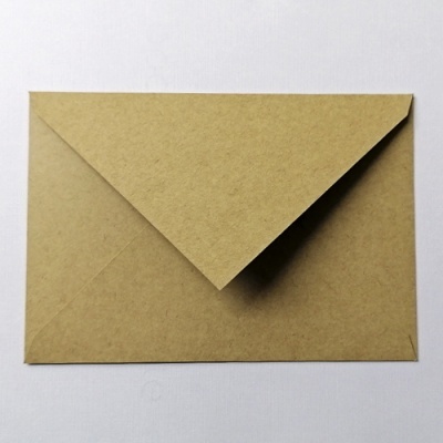 Pacote 25 Envelopes Safari C13