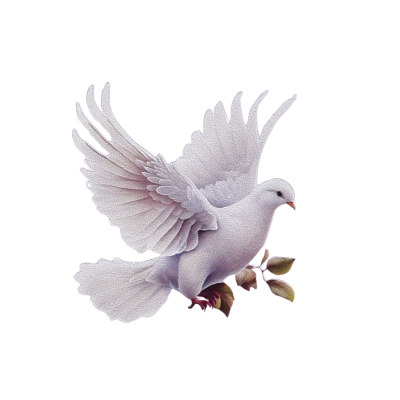 Personalização - Imagens