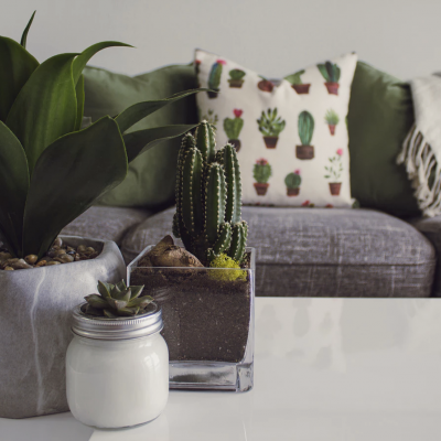 Cactus Pillow Cactus Pillow