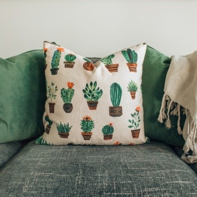 Cactus Pillow Cactus Pillow