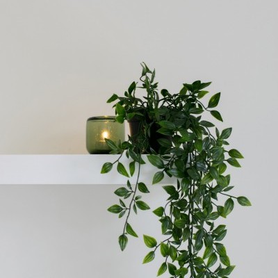 Droplet Plant Kit 🌱 Droplet Plant Kit 🌱