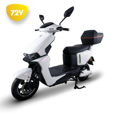 NEOVOLT: GO-X2 PRO 72V 250W (0.25kW) (Chumbo)