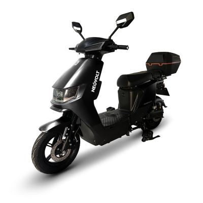 NEOVOLT: ECO-FLY 60V 250W (0.25kW) (Chumbo)