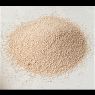 Fermento Padeiro em Pó