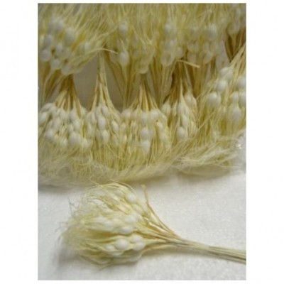 Espiga Branca