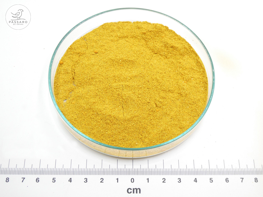 Caril Forte bio* Caril Forte bio*