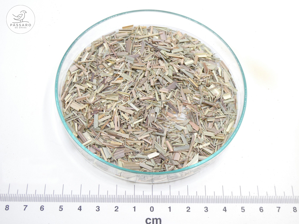 Erva-Príncipe bio* Erva-Príncipe bio*