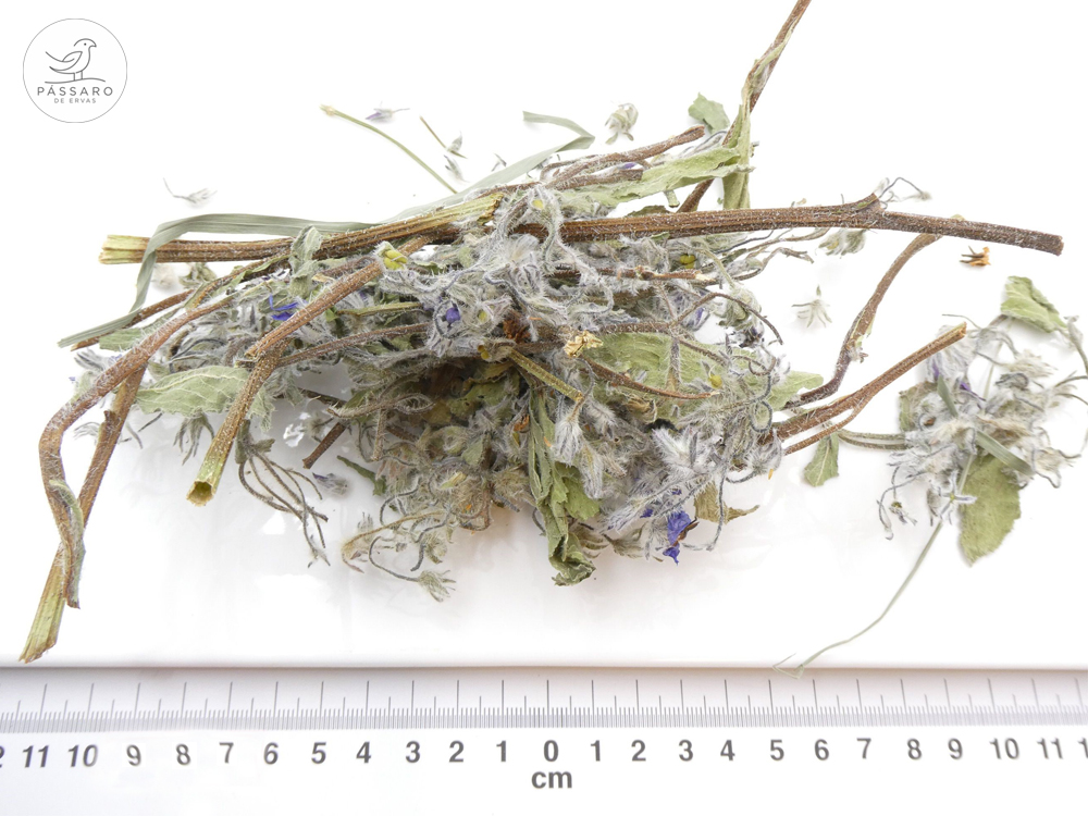 Borragem bio* Borragem bio*