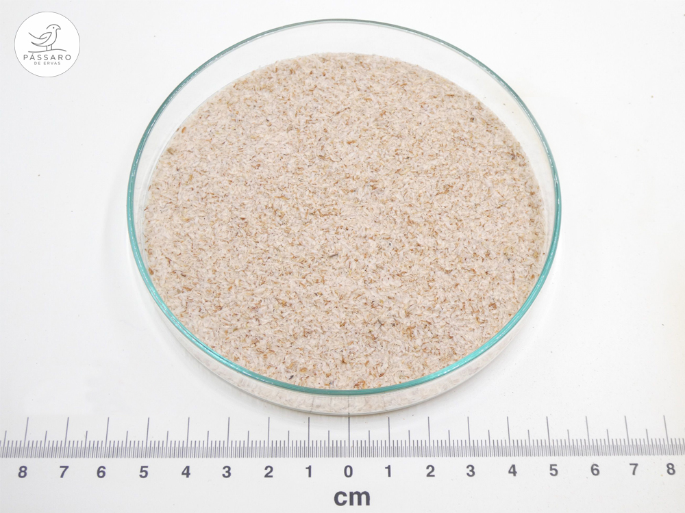 Psyllium bio* Psyllium bio*