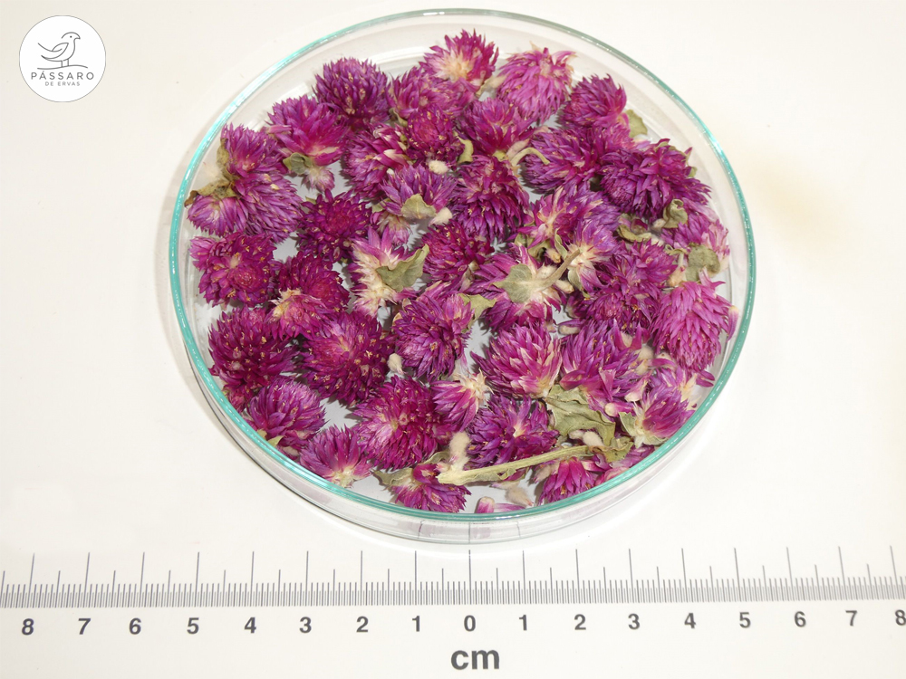 Perpétua-Roxa bio* Perpétua-Roxa bio*