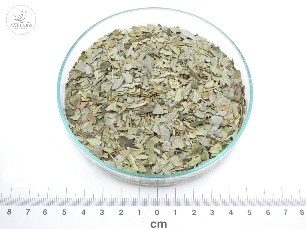 Boldo-do-Chile bio* Boldo-do-Chile bio*