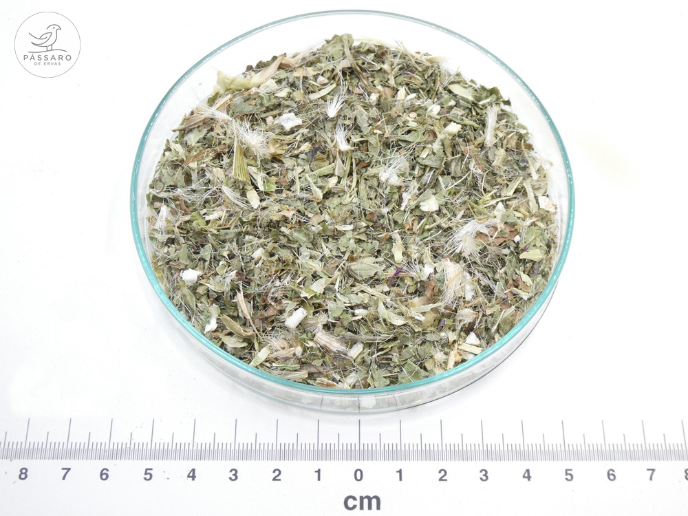 Cardo-Mariano bio* Cardo-Mariano bio*