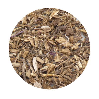 EQUINÁCEA-PÚRPUREA - raiz cortada BIO