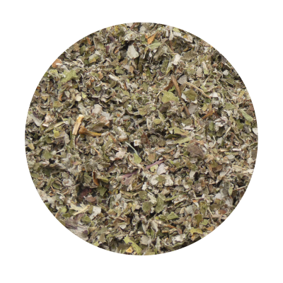 FRAMBOESEIRA - folha cortada BIO